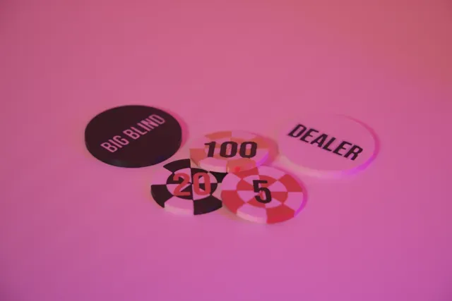 Portable Poker Set — Фото 8 из 10