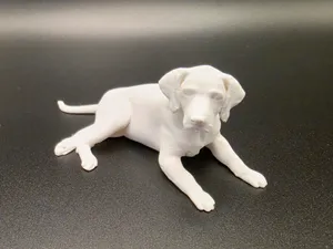 Labrador Retriever – Lying Dog | Realistic
