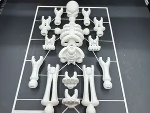 Skeleton Kit Card-Tinkercad