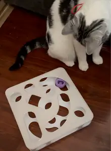Cat hole toy|猫咪洞洞玩具