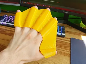 Hand Flippers
