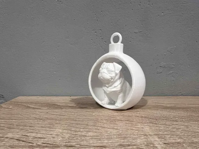 Cute Pug dog in Christmas Bauble. Mops — Фото 4 из 6