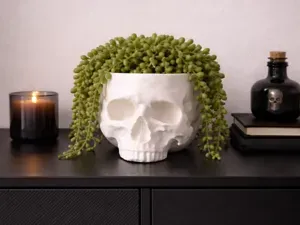Pot de fleur crane