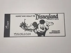 Disneyland Ticket