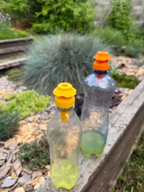 Bottle Wasp Trap — Image 3 of 7