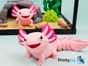 Mexican Axolotl