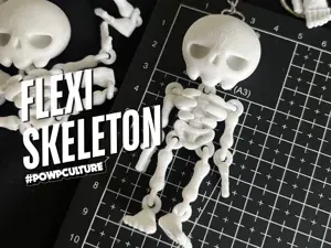 Flexi The Skeleton
