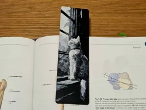 White Cat at Window - Bookmark