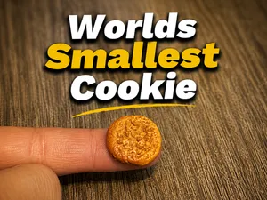 Worlds Smallest Cookie