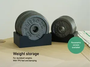 Weight Storage (Parametric)