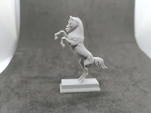 Classic Horse in Rearing Pose Year of the Horse — Фото 3 из 7