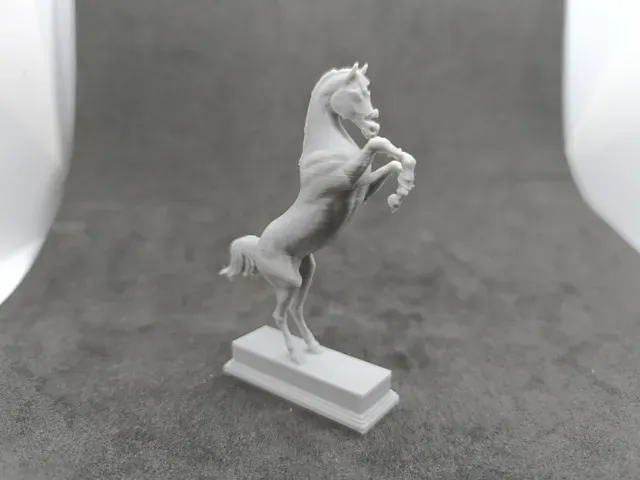 Classic Horse in Rearing Pose Year of the Horse — Фото 5 из 7