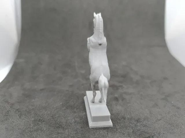 Classic Horse in Rearing Pose Year of the Horse — Фото 7 из 7