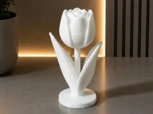 Tulip decor