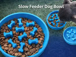 Slow Feeder Dog Bowl