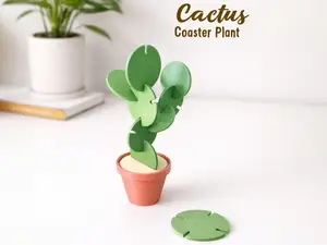 Cactus Coaster Plant