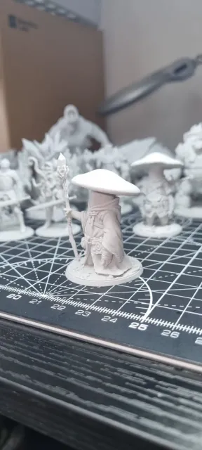Myconid Wizard D&D Miniature (45mm) — Фото 6 из 12