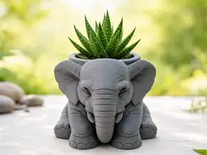 Sukkulentenhueter Elefant
