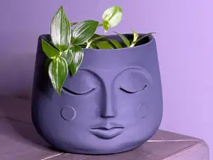 Peaceful Face Planter