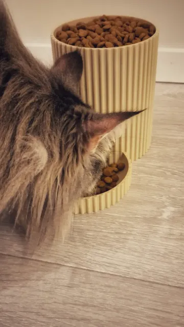 Stylish Auto Cat Feeder — Image 6 of 7