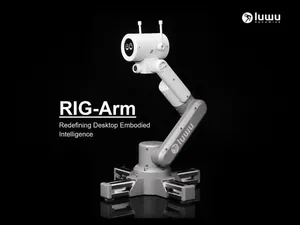 RIG-Arm: Desktop Embodied AI Arm LLM Multimodal