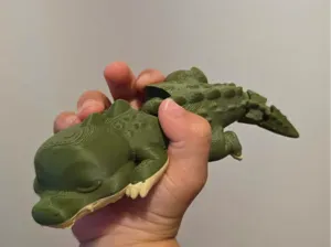 Le Petit crocodile Mignon Flexi