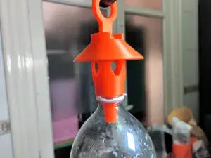 Trampa para Avispas con Botellas PET