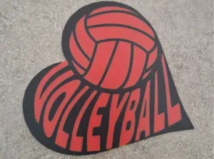 cuore pallavolo volleyball