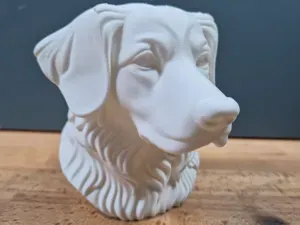 Nova Scotia Duck Tolling Retriever Bust