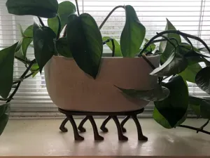 Eight-legged plant stand