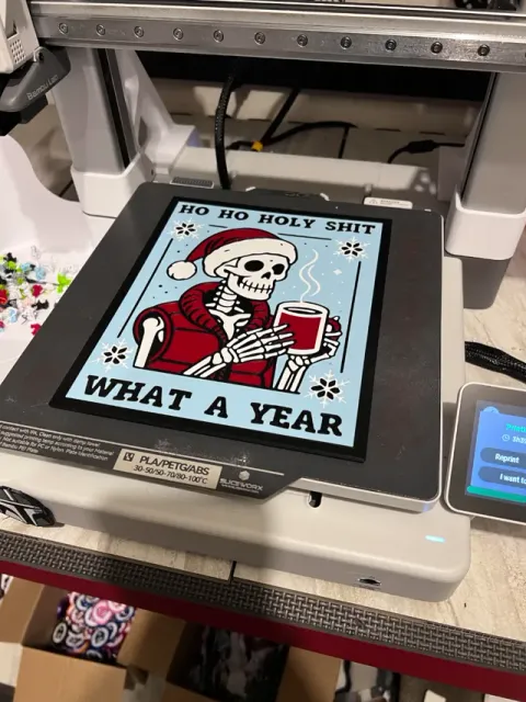 Ho Ho Holy S*#T What A Year — Image 4 of 4