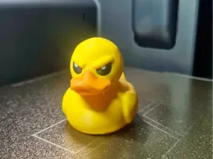 grumpy angry duck cruise jeep duck