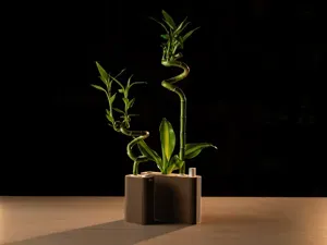 Parametric Bamboo Planter Self-Watering with Float