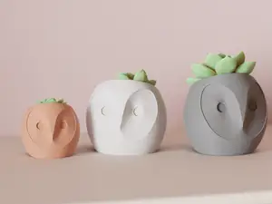 Succulent Plant Pot. Cute Owl Planter.