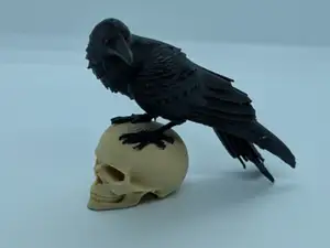 Raven’s Perch Where Shadows & Rest Silence Speaks