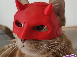 Daredevil Cat Mask