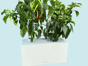 Hydroponic plant pot based on Lechuza BALCONERA