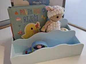 Children’s Book & Toy Organizer