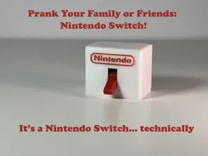 Nintendo Switch Prank Gift – A Hilarious Twist!