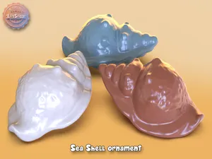 Sea Shell