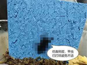 仿真树皮-甲壳虫、爬宠用（独角仙、锹甲、大兜等甲虫均可攀爬）