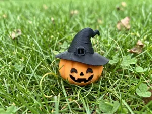 Cute Halloween Pumpkin with Witch Hat