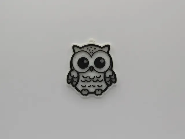 Cute Owl Keychain