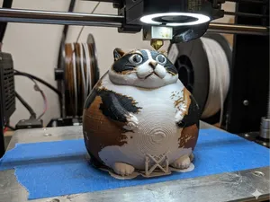 kotost (fat cookie slivki show)