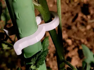 Clip palo piante da ortaggi