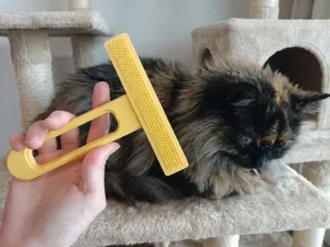 Pet Hair Remover Brush for Carpet & Sofa