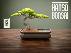 Kanso Bonsai