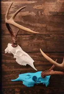 Half Deer Skull Antler Wall Mount