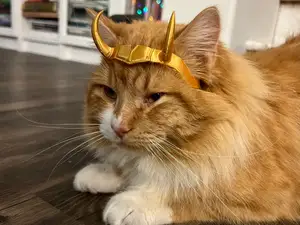 Loki Crown (for Cat)