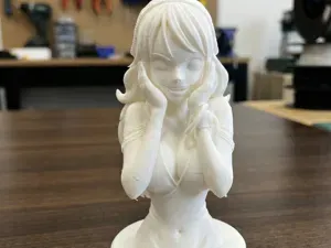 Nami One Piece Bust 3D Print Model 179